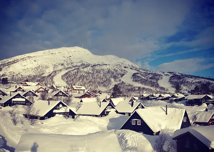 Cozy Fjellpark 71 * Hovden (Aust-Agder)