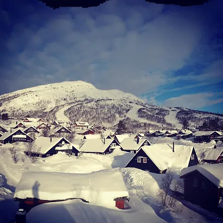 Cozy Fjellpark 71 * Hovden (Aust-Agder)